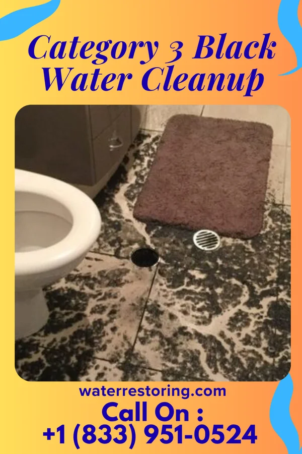 Category 3 Black Water Cleanup in Thurston, OH