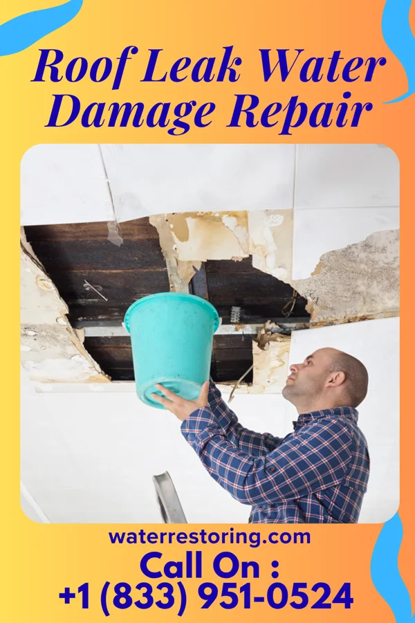 Roof Leak Water Damage Repair in Thurston, OH