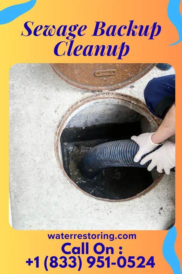 Sewage Backup Cleanup in Thurston, OH