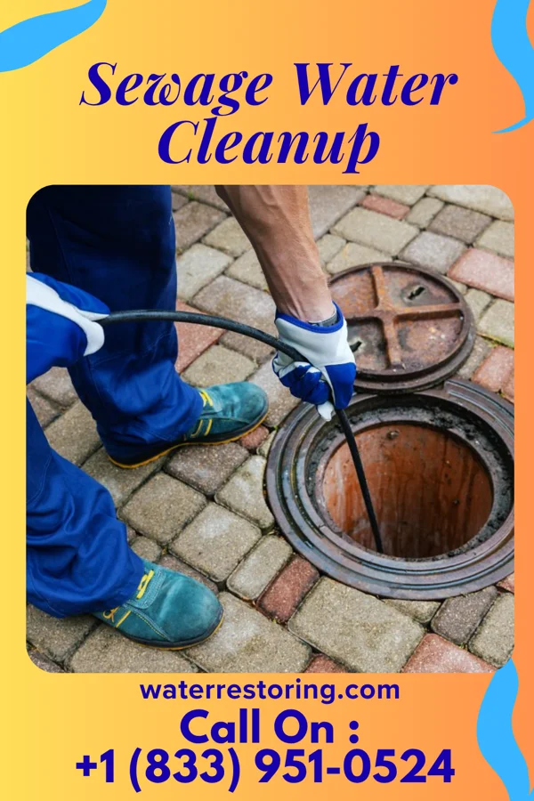 Sewage Water Cleanup in Thurston, OH