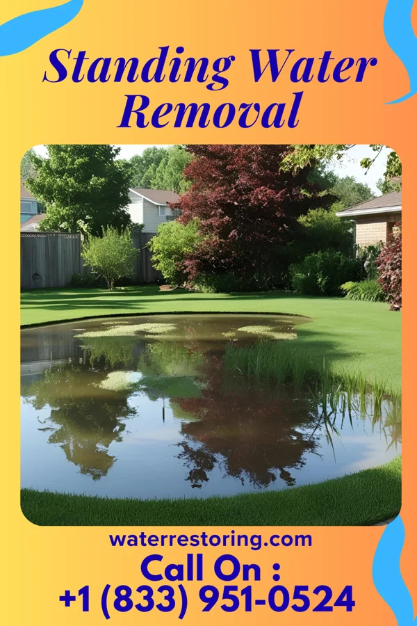Standing Water Removal in Thurston, OH